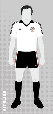 Bristol City 1976-77 away