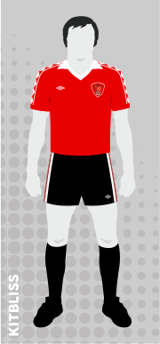 Bristol City 1976-81 home variation