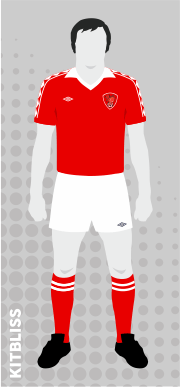 Bristol City 1976-81 home