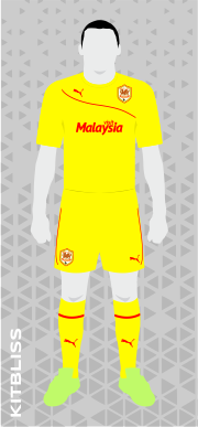 Cardiff City 2013-14 yellow alternate
