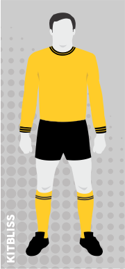 Hull City 1967-68 home