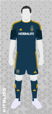 LA Galaxy 2013-14 away