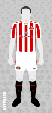 Sunderland 2008 home variation