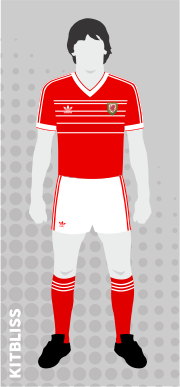 Wales 1984-87 home