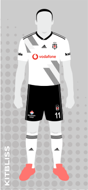 Besiktas 2019-20 home