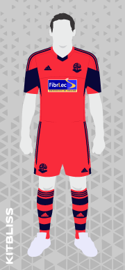 Bolton Wanderers 2013-14 away