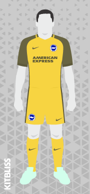 Brighton and Hove Albion 2017-18 home, 2018-19 third