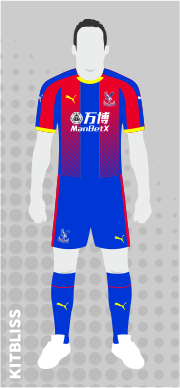 Crystal Palace 2018-19 home