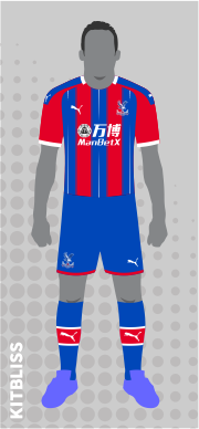 Crystal Palace 2019-20 home
