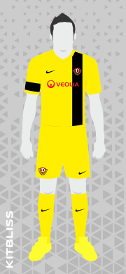 Dynamo Dresden 2013-14 home