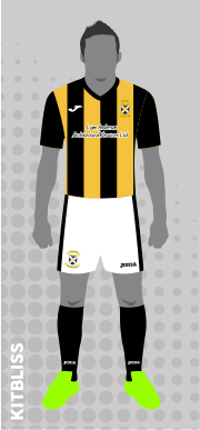 East Fife 2018-19 home