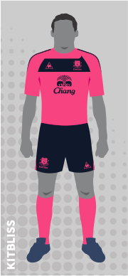 Everton 2010-11 away