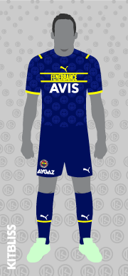Fenerbahçe 2021-22 third