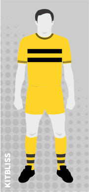 Hull City 1964-65 home
