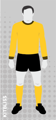 Hull City 1968-69 home