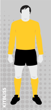 Hull City 1969-72 home