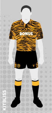Hull City 1992-93 home