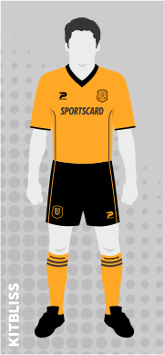 Hull City 2001-02 home