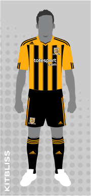 Hull City 2010-11 home