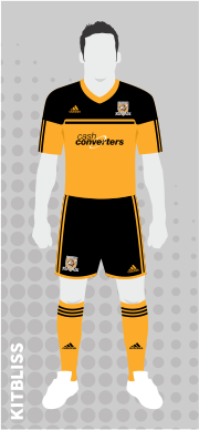 Hull City 2012-13 home