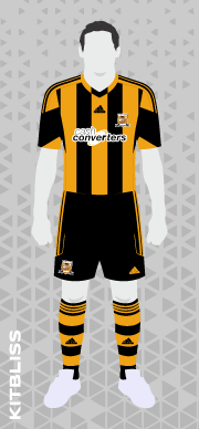 Hull City 2013-14 home