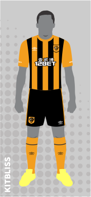 Hull City 2014-15 home