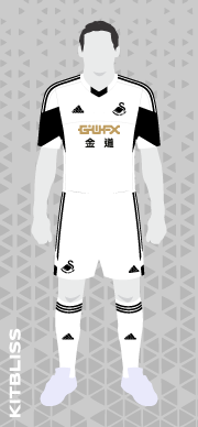 Swansea City 2013-14 home