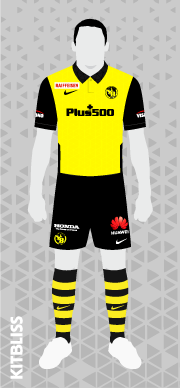 Young Boys 2020-21 home