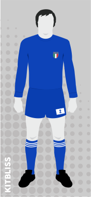 Italy 1978 World Cup home variation