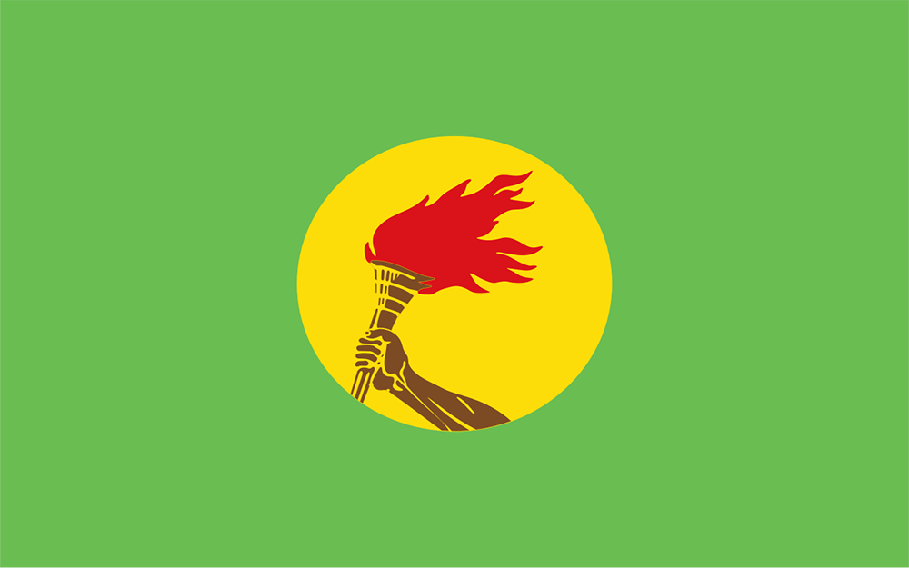 Zaire flag